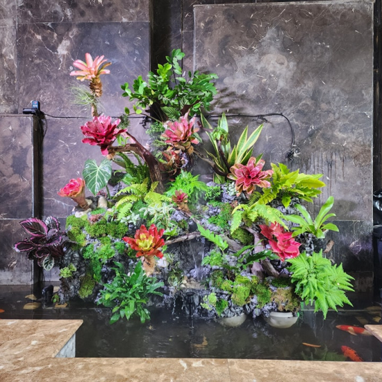 Tư Vấn Set Up Hồ Thủy Sinh  