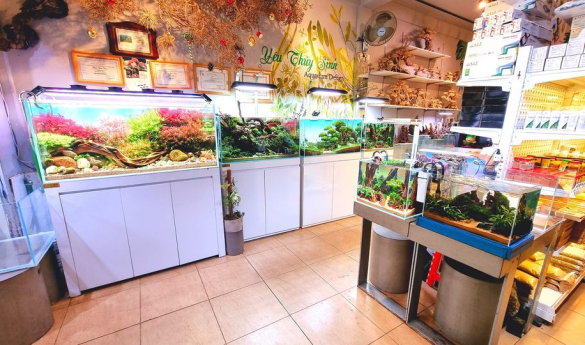 Hoạt Động Tại Yêu Thủy Sinh 