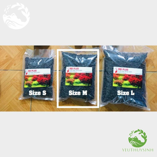 Cốt nền Magic Base Plus (bao size M)