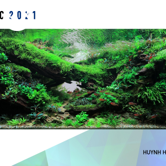 Hồ dự thi IAPLC 2021 
