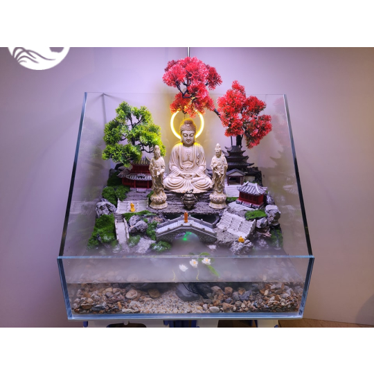 Dự án 2 