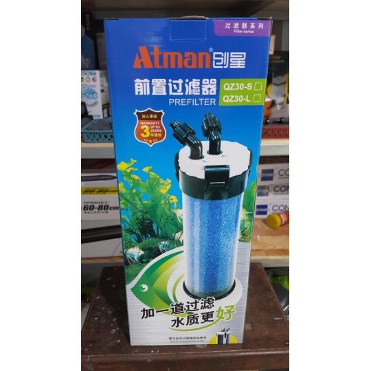 Lọc phụ Atman